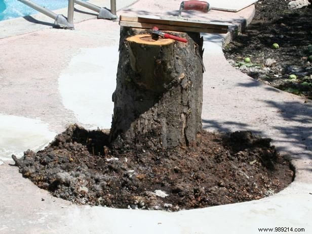 How to create a tree stump table