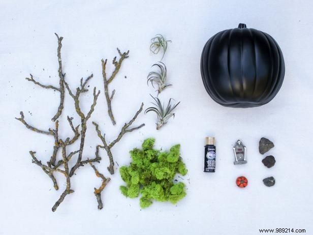 How to Create a Spooky Fairy Garden for Halloween