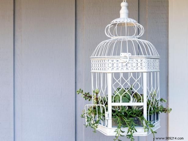 How to Make a Birdcage Succulent Garden