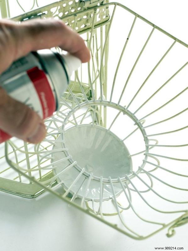 How to Make a Birdcage Succulent Garden