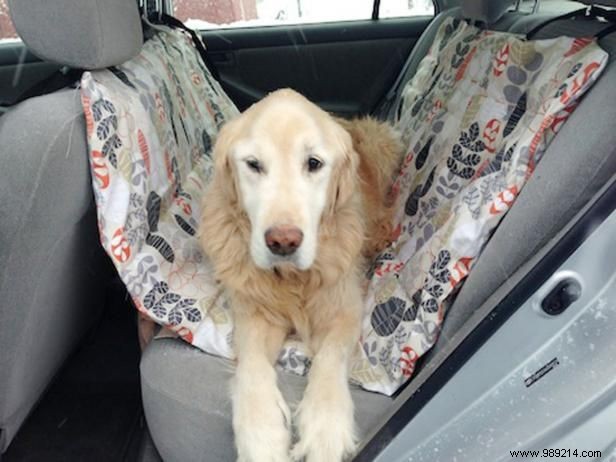 How to make a hammock for your pet