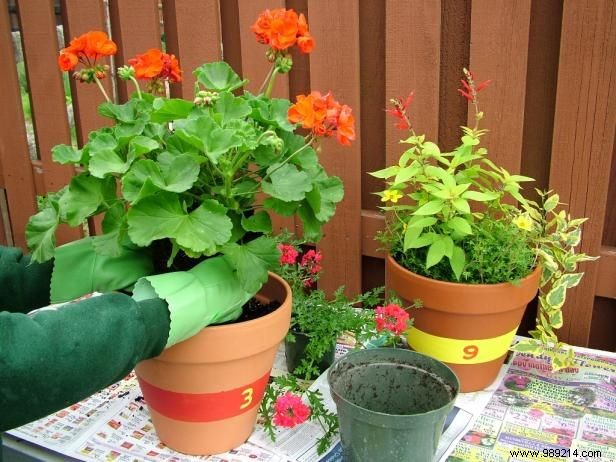 How to make a garden sundial