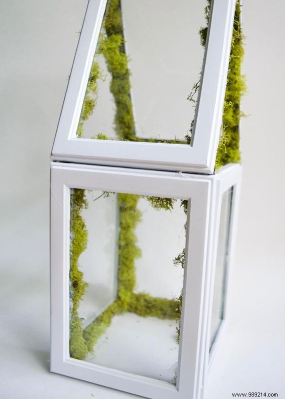 How to make a mini greenhouse using photo frames