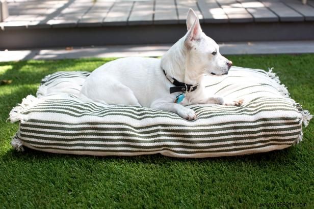 How to Make a Pet Bed Cover From a Flat Weave Rug