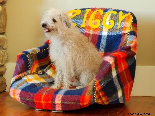 How to make a pet bed out of an office chair