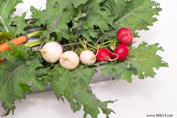 How to Make an Edible Fall Harvest Centerpiece