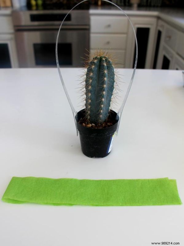 How to make cute mini cactus party favors