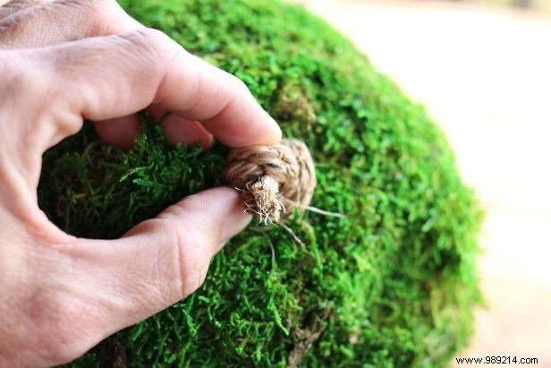 How to Make Hanging Moss Topiary Spheres 