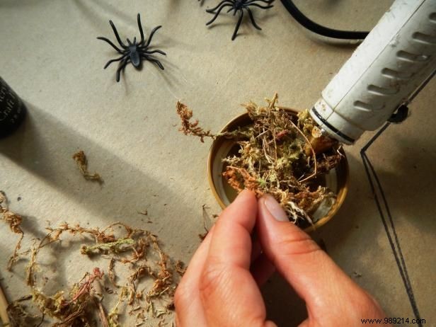 How to make Halloween terrariums