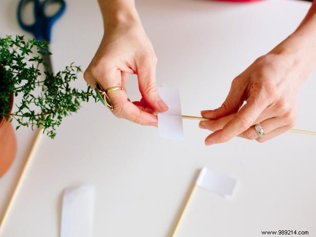 How to Make Herb Centerpieces and Party Favors