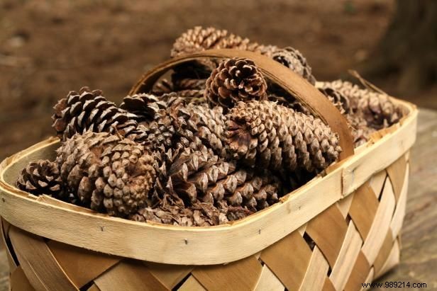 How to Make Scented Pineapple Fire Starters