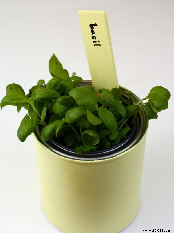 How to turn a paint can into a garden pot