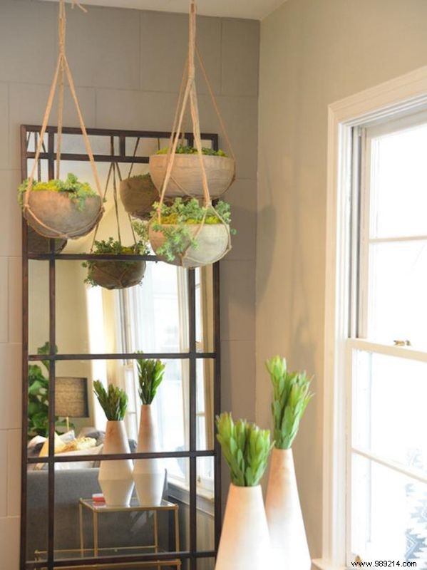 Indoor Garden Inspo for Small Spaces