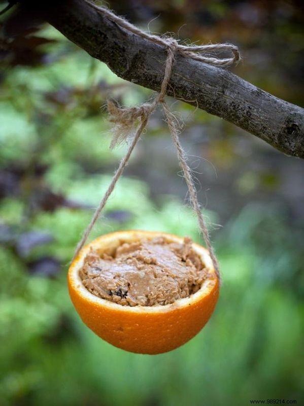 Natural handmade bird feeders